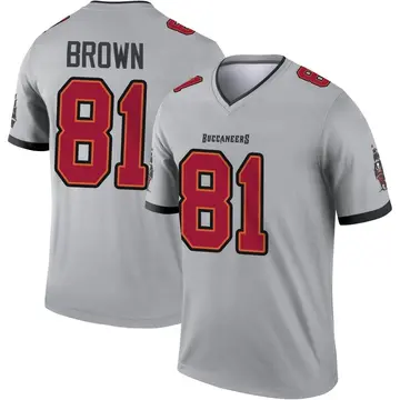 Youth Nike Tampa Bay Buccaneers Antonio Brown Gray Inverted Jersey - Legend